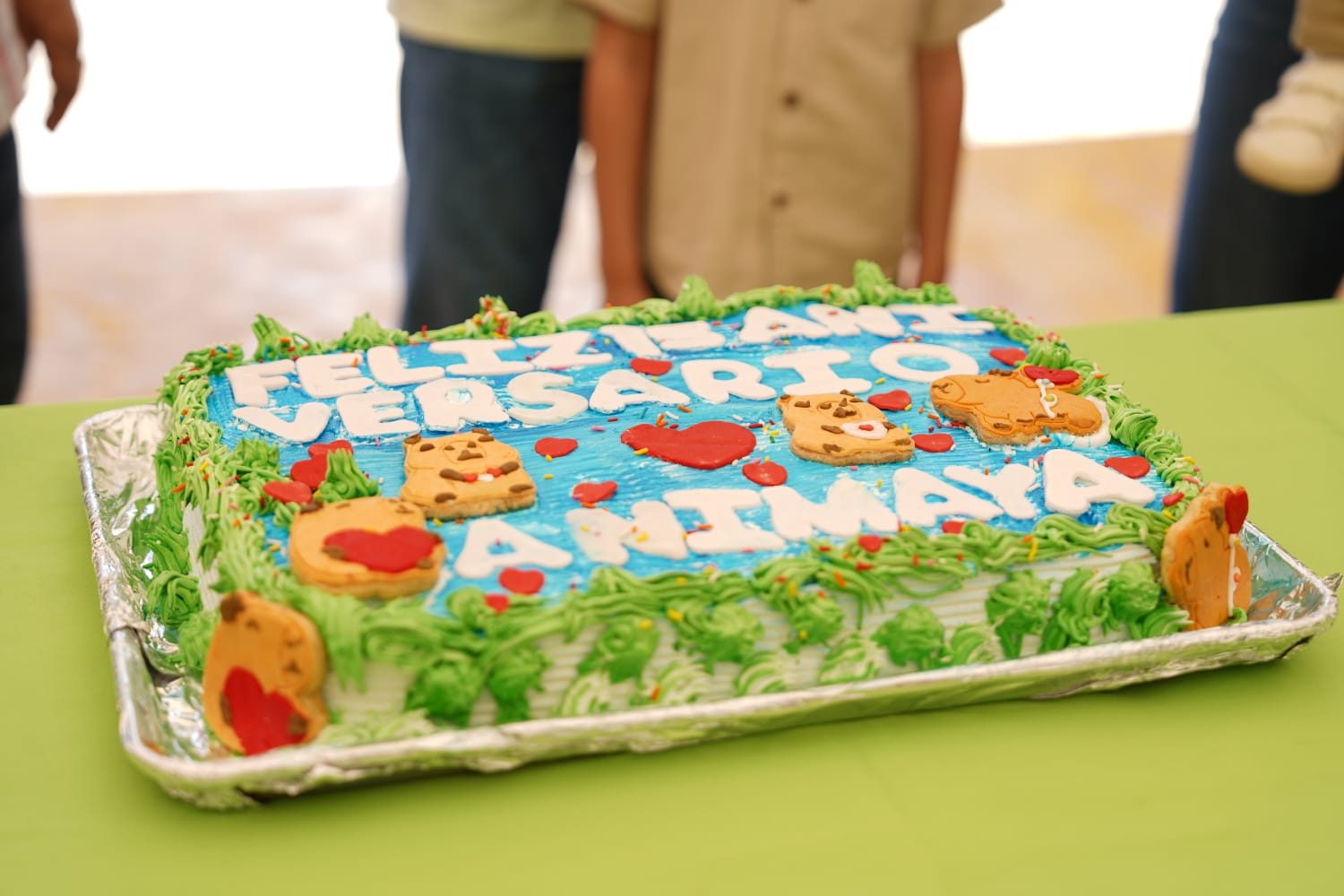 Familias meridanas celebran 15 años de diversión y alegría en el Parque Zoológico Bicentenario Animaya