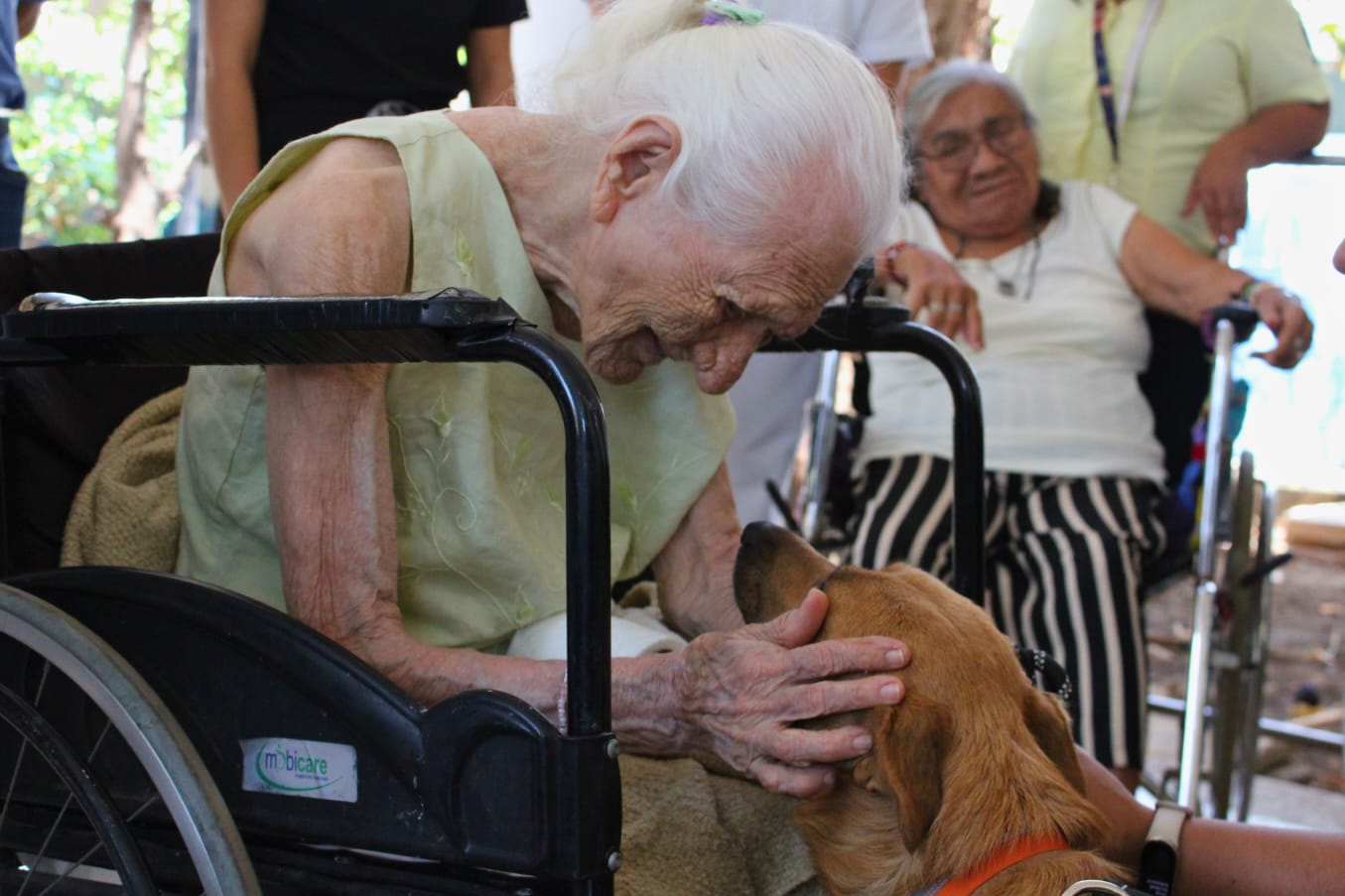 Presenta Cecilia Patrón “De la calle al corazón” programa de apoyo emocional para población vulnerable que incluye un equipo canino