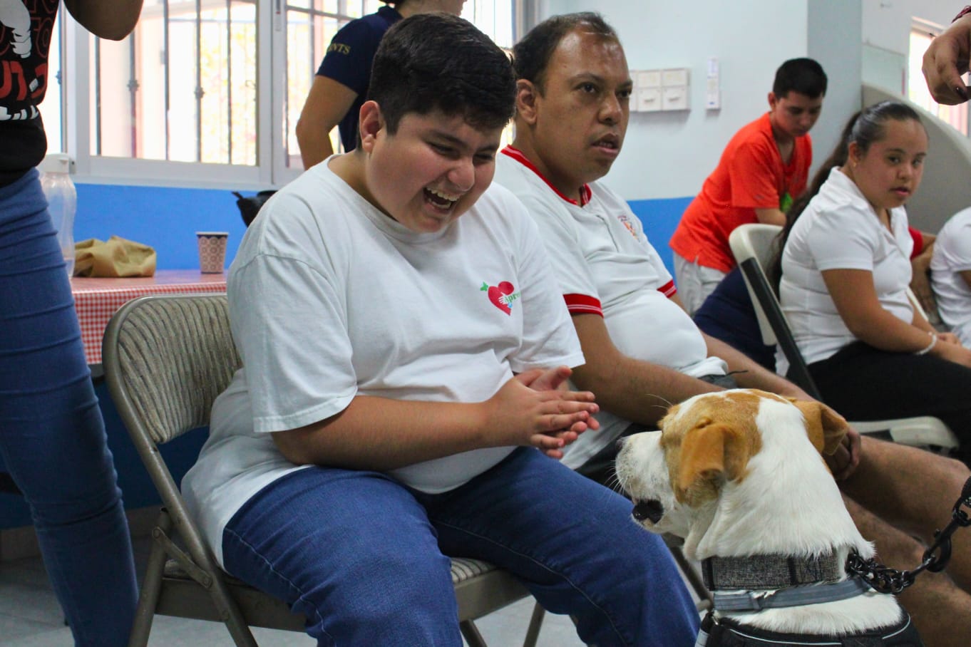 Presenta Cecilia Patrón “De la calle al corazón” programa de apoyo emocional para población vulnerable que incluye un equipo canino