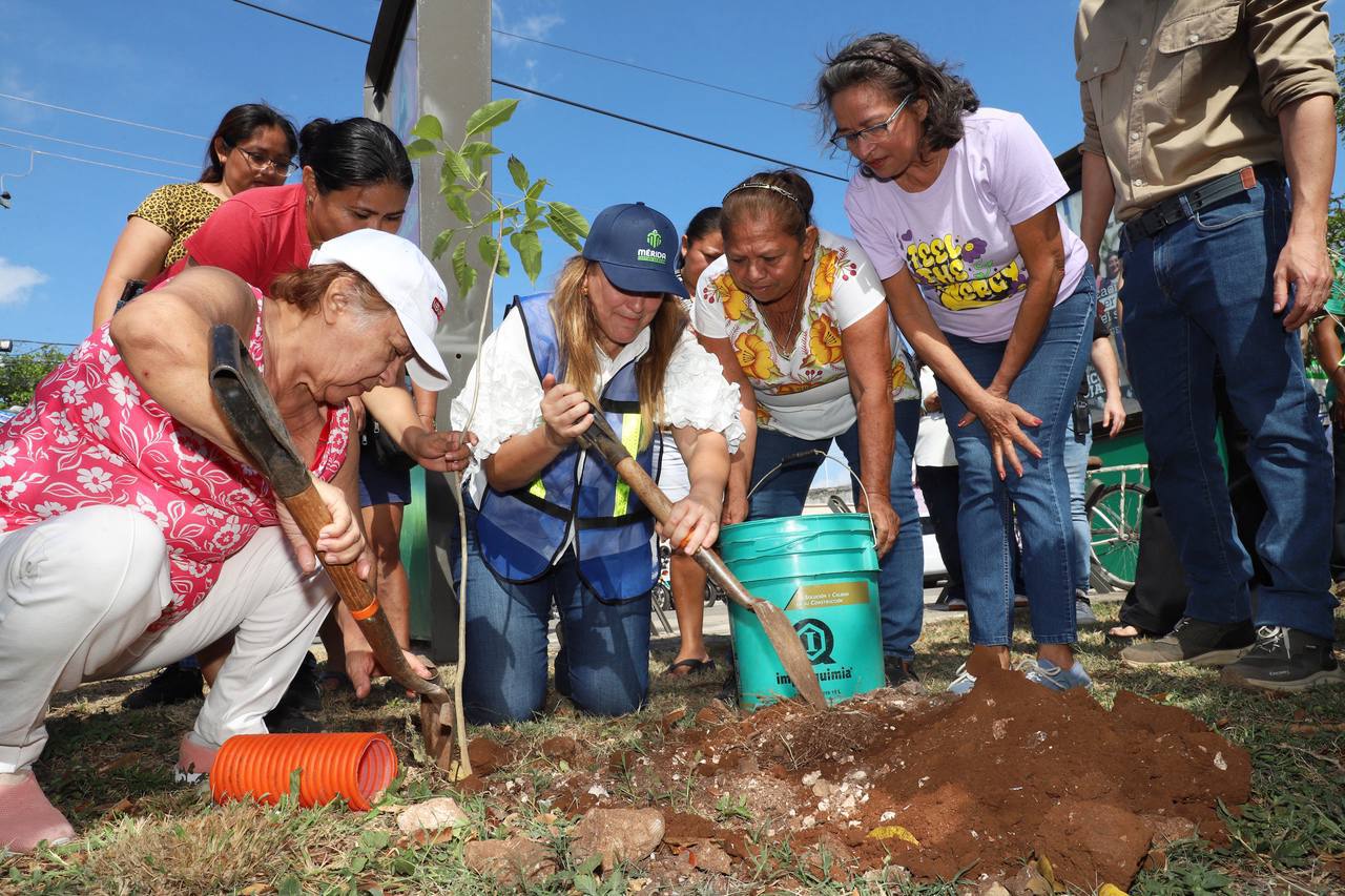 Invita Cecilia Patrón a las y los meridanos a la Cruzada Forestal; plantarán 8 mil 500 árboles en 18 días