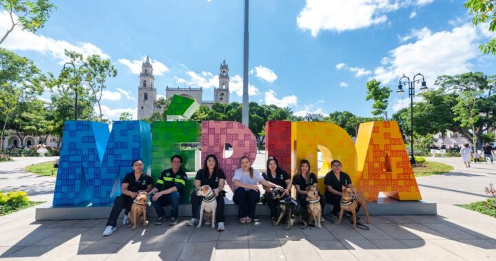 Presenta Cecilia Patrón “De la calle al corazón” programa de apoyo emocional para población vulnerable que incluye un equipo canino