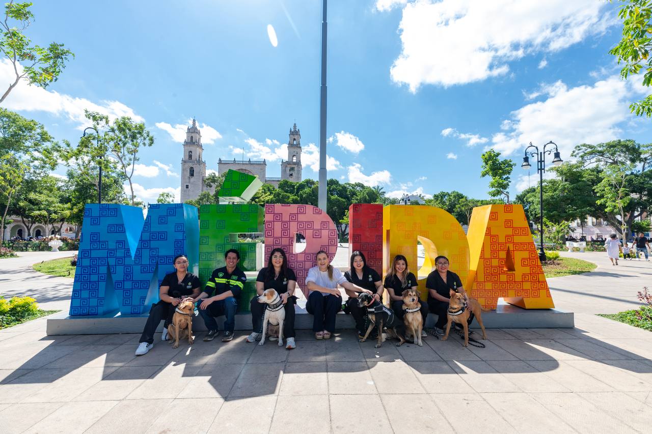 Presenta Cecilia Patrón “De la calle al corazón” programa de apoyo emocional para población vulnerable que incluye un equipo canino