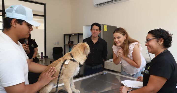 Reitera Cecilia Patrón compromiso del Ayuntamiento en el cuidado de los animales en situación de calle
