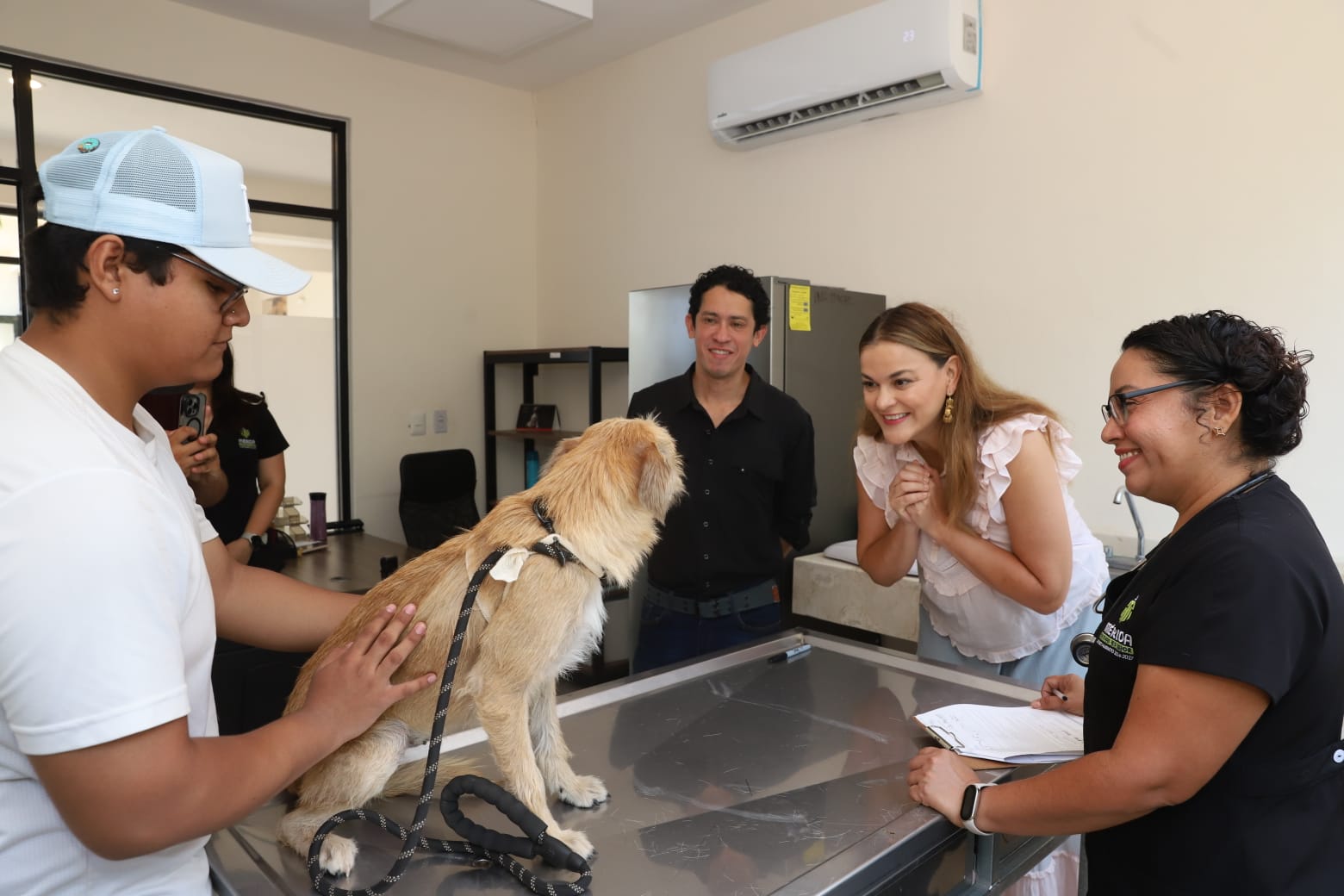 Reitera Cecilia Patrón compromiso del Ayuntamiento en el cuidado de los animales en situación de calle